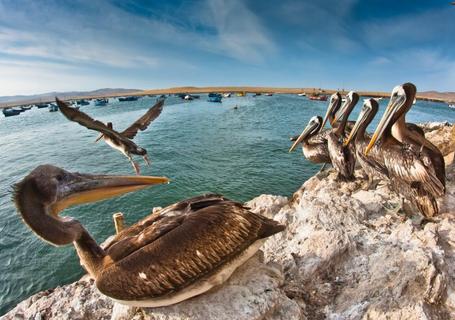 Paracas – Nazca