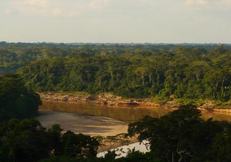 Posada Amazonas / Refugio Amazonas