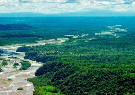 Posada Amazonas / Refugio Amazonas