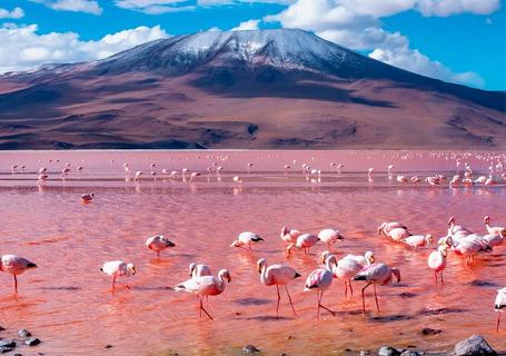 Salar de Uyuni and Atacama Desert