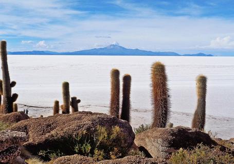 Salar de Uyuni and Atacama Desert