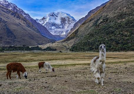 Salkantay Trek and Inca Trail to Machu Picchu