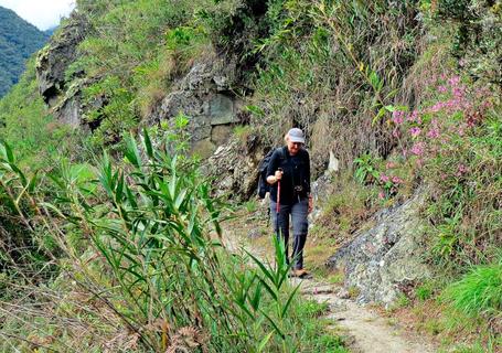 Short Inca Trail to Machu Picchu