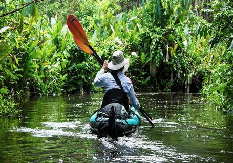 Spondias Amazon Cruise