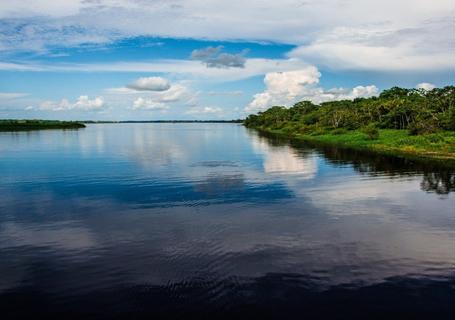 Spondias Amazon Cruise