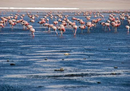 Sun Island, La Paz & Uyuni