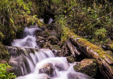 Take a look at nature on route to the Inca trail