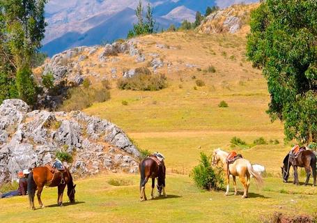 The Mystical Temple of the Moon on Horseback