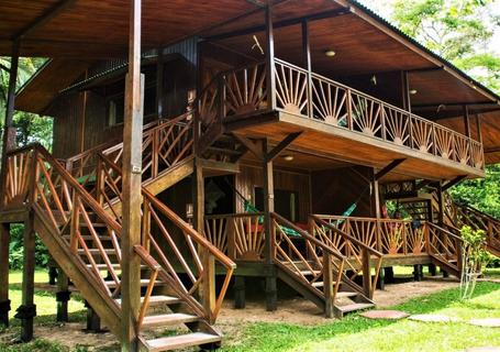 Trek to a Brazil Nut Harvesting Camp and Caiman Safari