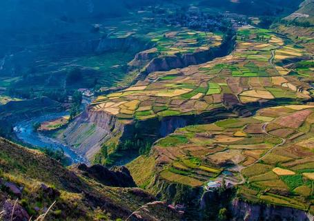 Views of colca canyon and andean condors