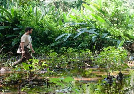 Wetlands, Orchard and Palmetum