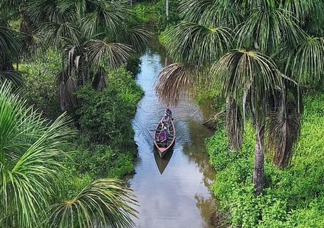 Eco Amazonia Activity