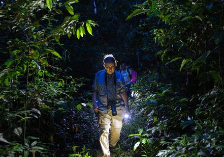 3 Posada Amazonas 4D - Night walk