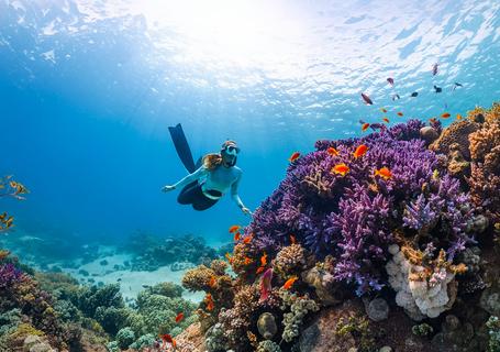 4 Galapagos - woman diving