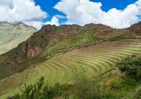 5 Machu Picchu Express - Pisaq