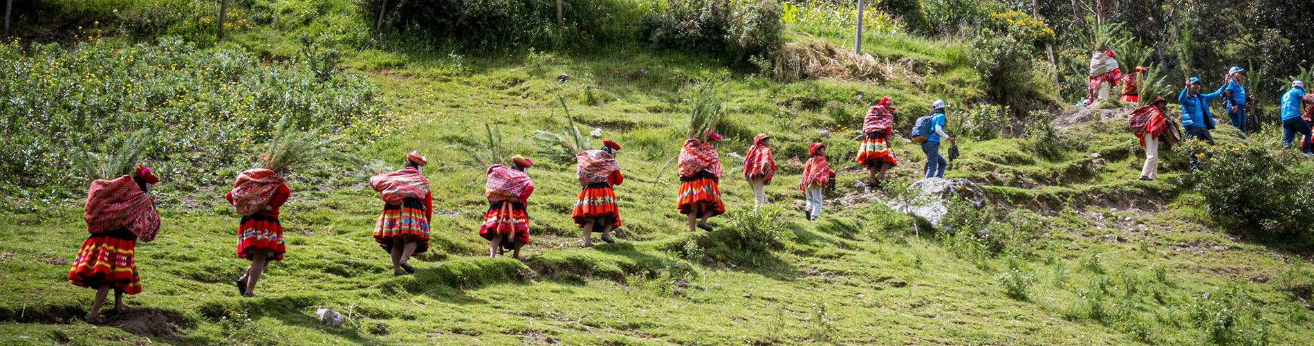 Reforestation Efforts in The Remote Communities of Cusco  By  Valencia Travel