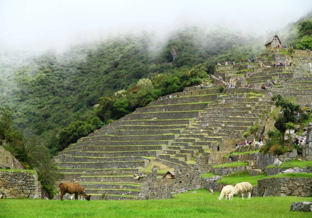 Inca Trail Express to Machu Picchu
