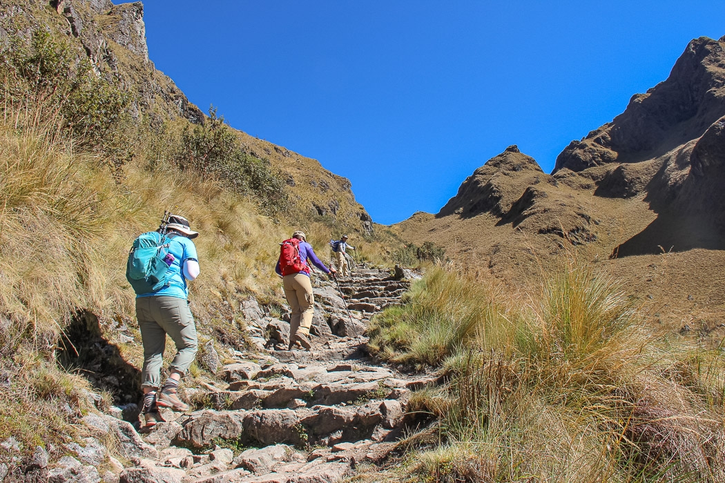 Inca Trail - On route of Warmiwanusca Pass