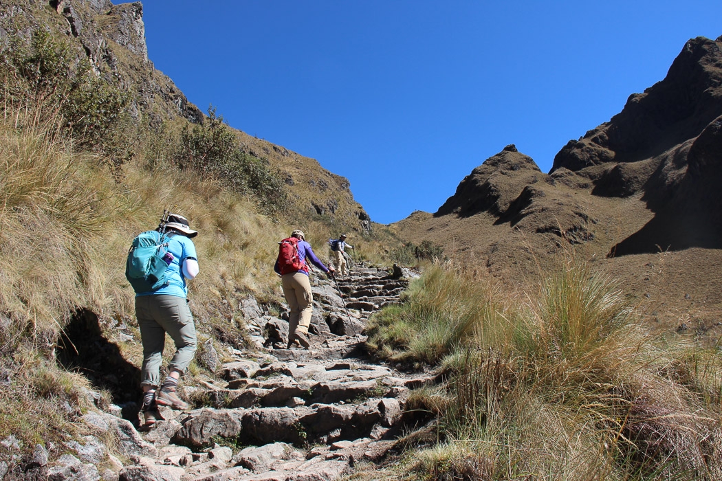 Inca Trail - Warmiwanusca Pass