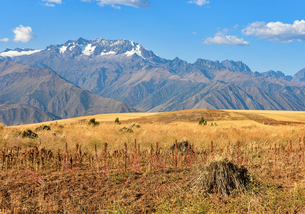 vistas of the Sacred Valley and the Andes mountains