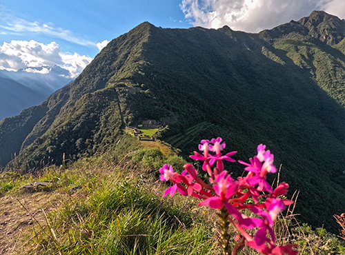 Choquequirao Trek to Machu Picchu