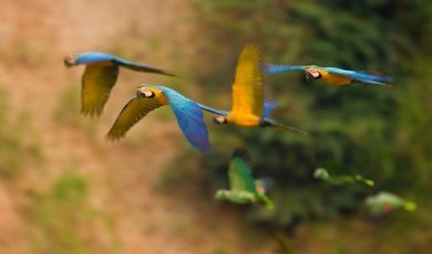 Colours of Peru