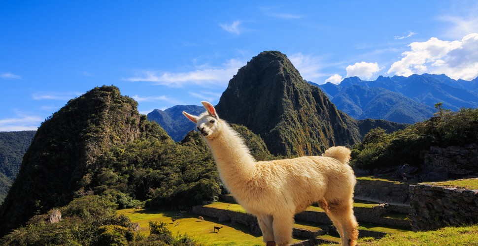 history of machu picchu contenidos