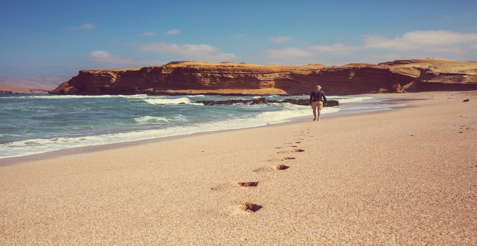 Stunning coastal scenery and diverse wildlife make the Paracas National Reserve an obligatory stop along Peru's southern coast. When you are there on Ica Peru tours make sure you visit this spectacular coastal region!