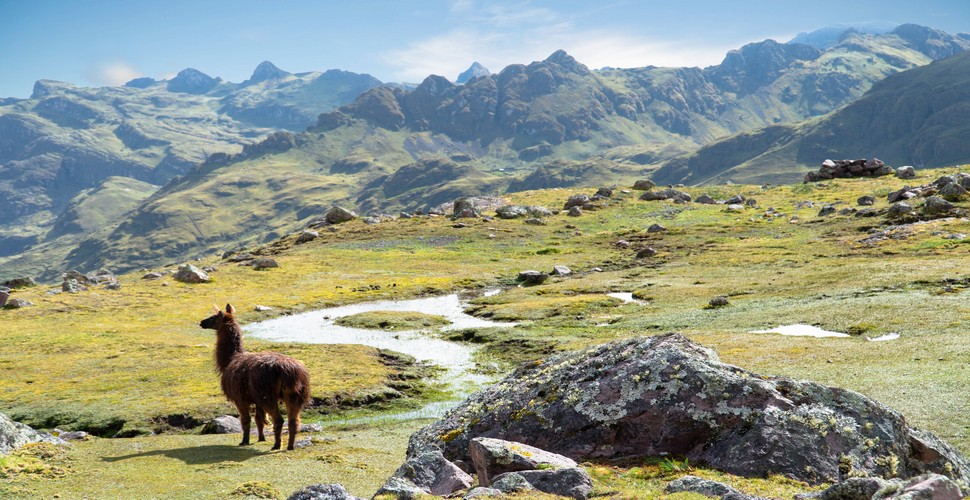The Lares Trek is shorter, usually taking 3-4 days. It is less challenging than the Salkantay Trek, with less elevation gain and loss. However, this trek provides hikers with more opportunities to interact with local communities and learn about Peruvian Andean culture.