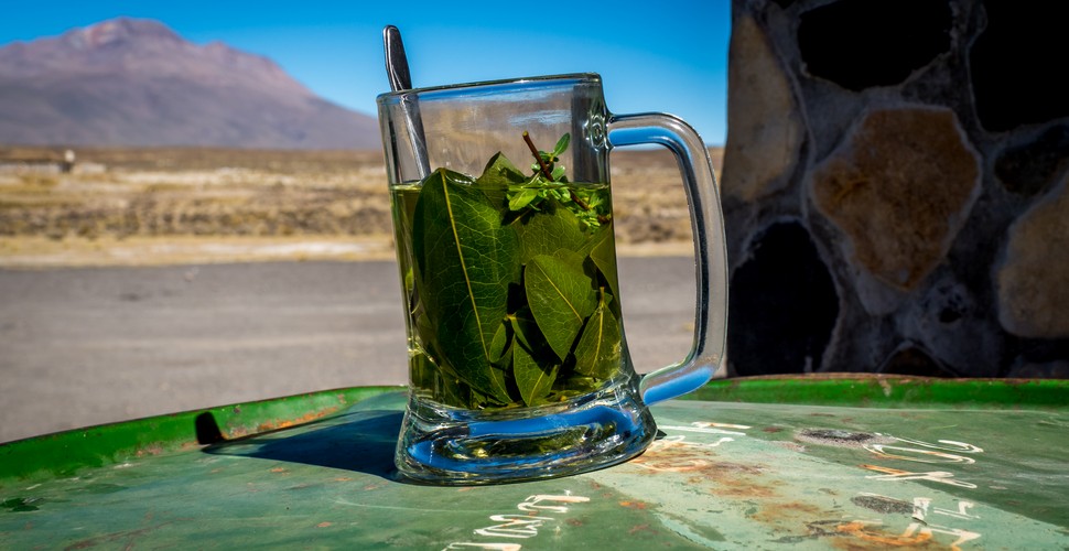 Drinking coca tea or chewing coca leaves can aid acclimatization. You Will see your porters and guides on the Inca Trail Trek to Machu Picchu chewing away on coca leaves as they give an extra energy boost for climbing and trekking at high elevations.