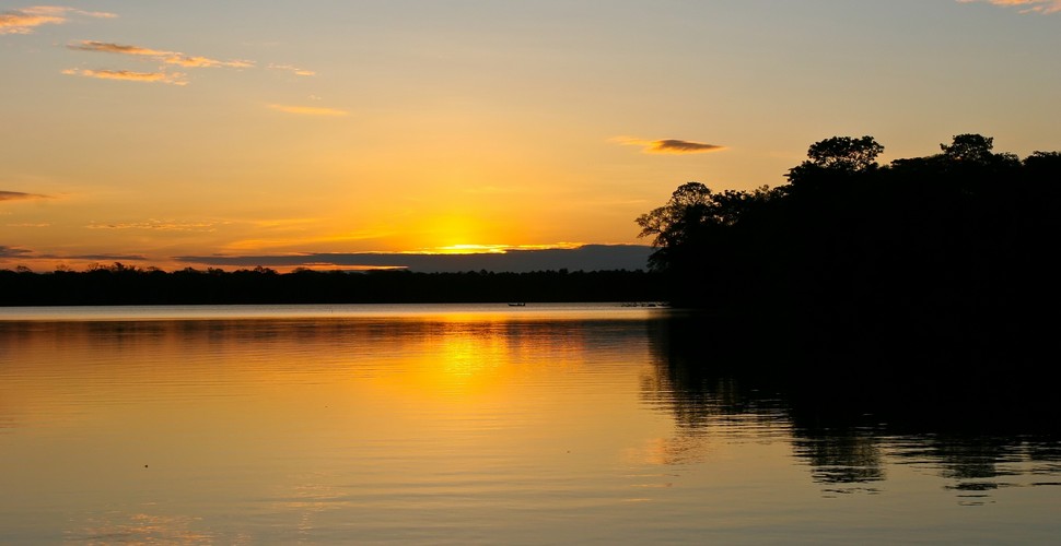 There is no better place to experience a sunset than in the Amazon jungle.  When you’re not busy admiring the sunset itself, you have great chances to spot shy wildlife venturing out before dark. You’ll see a variety of riverside animals, from Capybaras to elegant Macaws flying overhead. Finally, as you drink in the sunset and refreshing breeze, you’ll learn about the fascinating history of the Amazon river. Book a Peru Amazon adventure now!