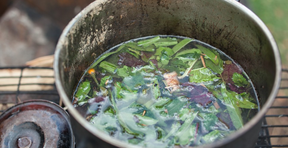Ayahuasca is a native plant used in religious and ceremonial practices in Tambopata. Discover the transformative power of this ancient Amazonian ritual as you learn about the heart of the Peruvian jungle on your Madre de Dios tours. The experience promises a deep connection to nature, indigenous traditions, and spiritual enlightenment.