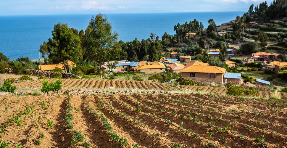 As a part of the community-based tourism initiative on Luquina, travelers can spend time with the locals, gaining insight into the daily activities like farming, fishing, sailing, cooking, and child-rearing.  Visit on your Peru tour packages.
