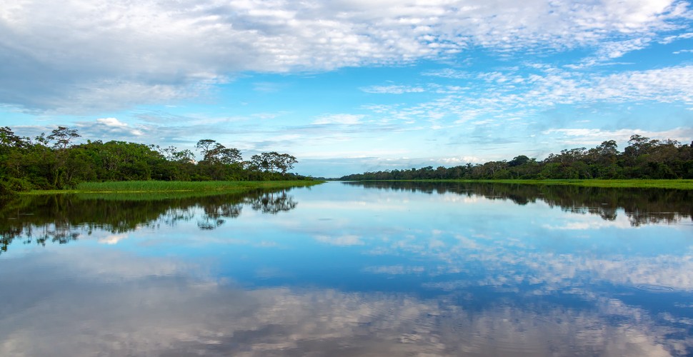 On board Delfin Amazon Cruises, you will experience an adventurelike no other on the longest river of the world. Your Peru Amazon adventures will start in the city of Iquitos,  and will include several water activities, jungle excursions and visits to local communities.