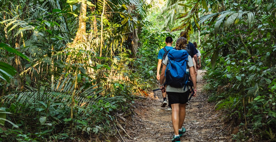 Trekking trails through the Tambopata National Reserve are an excellent way to see the local flora and fauna.  Along the way, we can see macaws, monkeys, and an array of Amazon life. There are also giant otters, but they are a little harder to find! Head out on Madre de Dios tours to see some truly spectacular wildlife!