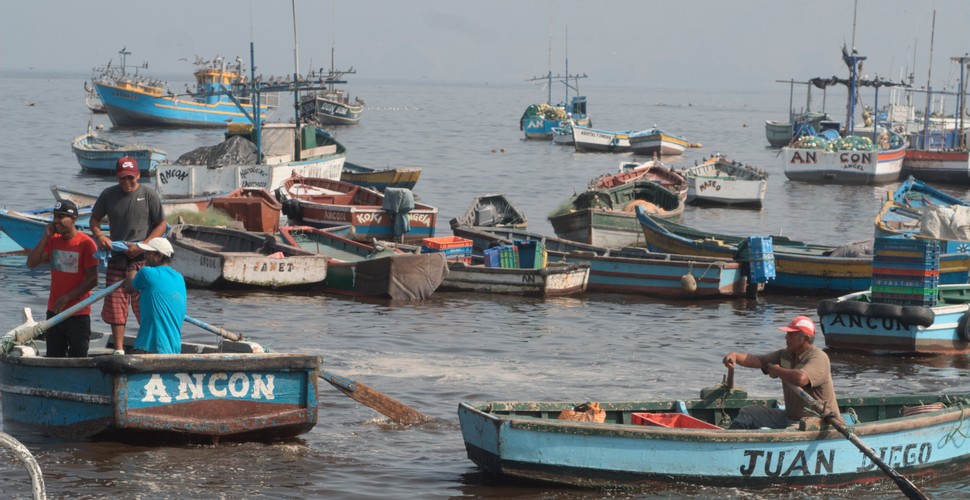 Commercial deep-sea fishing off of Peru's coastal region of over 3,000 km (1,860 mi), is a major enterprise. Peruvian waters normally abound with marketable fish: bonito, mackerel, drum, sea bass, tuna, swordfish, anchoveta, herring, shad, skipjack, yellowfin, pompano, and shark. More than 50 species are caught commercially. There are over 40 fishing ports on the Peruvian coast, Paita and Callao being the most important centers. Visit on Lima Peru tours!
