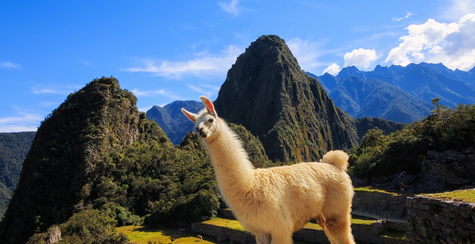 So Why is Machu Picchu important? Because it is an ancient Inca city that was rediscovered by Hiram Bingham in 1911., It became a UNESCO World Cultural and Natural Heritage Site in 1983 and one of the Seven Wonders of the New World in 2007. Putting Machu Picchu well and truly on the world map. This ancient stone citadel was also important to the Inca civilization because it was a sanctuary where only members of the highest social class would be allowed to enter.