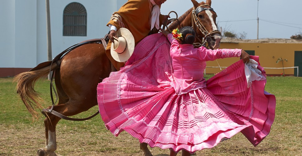 One of the explanations behind the Marinera dance is the story of a Peruvian soldier who noticed a beautiful young woman. The soldier flirts with her while riding his horse and she imitates the movement of the horse's gait. This is reflected in the Marinera and with the Peruvian Paso horses. Make sure you take in a Peruvian Paso marinera show when you visit Peru.