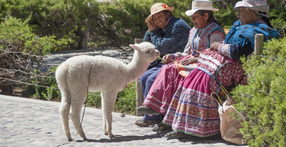 Chivay is deeply rooted in traditional Andean culture, and you'll often see locals dressed in traditional clothing. This is especially so during festivals and market days. Traditional crafts such as weaving and pottery are still practiced and celebrated. Locals still wear traditional dress and pose with a llama for the obligatory photo of The Colca Canyon on Arequipa tours.