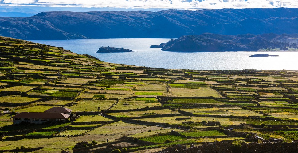 On Lima to Lake Titicaca tours, your first glimpse of the lake Will be something to savor. The first sighting of Lake Titicaca often comes as a surprise. The vast expanse of deep blue water appears out of nowhere, contrasting sharply with the earthy tones of the surrounding Altiplano.