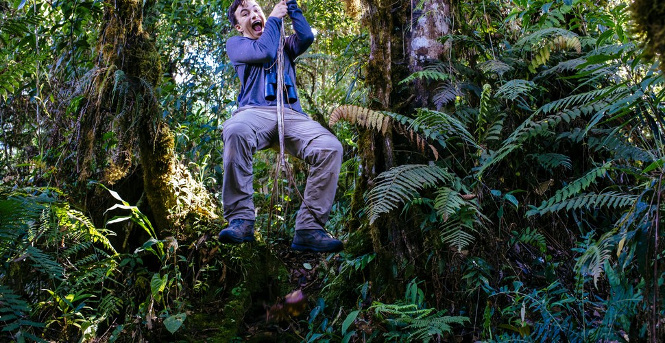 Head out on Peru Amazon adventures with all the family. Here, you can spot monkeys, sloths, butterflies, and toucans while staying at an eco-lodge nestled in the rainforest. The perfect destination for a Peru family vacation!