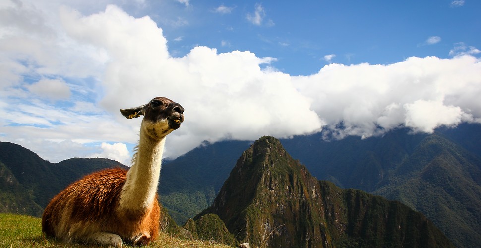 A one-day trip to Machu Picchu is a whirlwind adventure! This Machu Picchu day trip from Cusco offers a glimpse into the awe-inspiring beauty and rich history of this ancient Inca citadel. 
