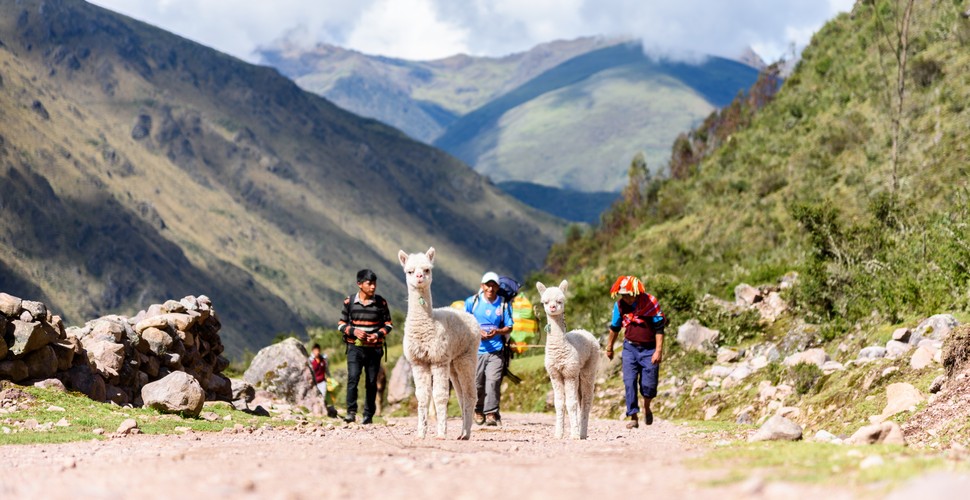 Along the Lares Trek to Machu Picchu, you'll encounter several rural communities.  These communities offer a glimpse into traditional Andean life. They are remote and often isolated and maintain a way of life that has remained largely unchanged for centuries.