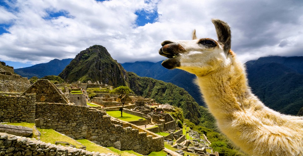 Visiting Machu Picchu with your family on your Peru vacation package opens up a world of exploration and discovery. From the moment you arrive at the site, you'll be awestruck by the sheer majesty of the ancient Inca citadel. Be in awe at its terraced fields, stone temples, and panoramic views of the surrounding mountains.