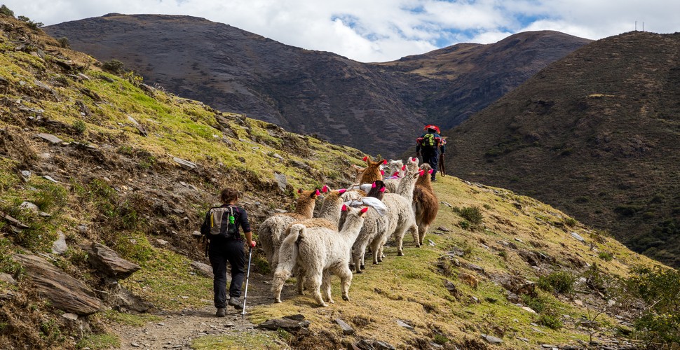 The Lares Trek to Machu Picchu offers a unique blend of natural beauty and cultural immersion for travelers seeking an off-the-beaten-path adventure. The Lares Trek provides an enriching experience that culminates with a visit to the magnificent Machu Picchu. 