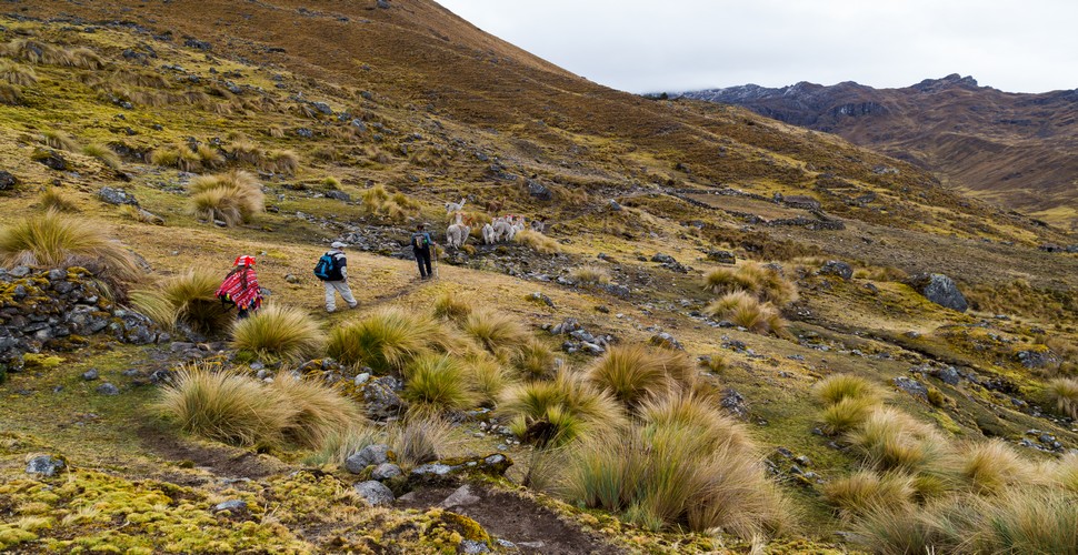 The Lares Trek is a less crowded alternative to the Inca Trail to Machu Picchu. This trek a glimpse into traditional Andean life. In December, the valleys are lush and green, and you'll have the chance to visit remote villages, hot springs, and stunning mountain scenery.