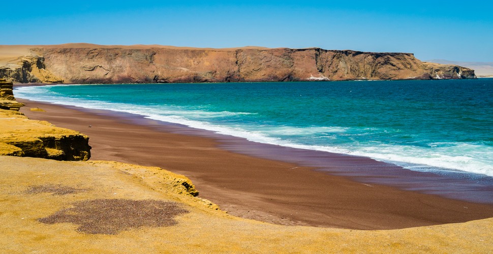 The Paracas National Reserve is a stunning coastal marine reserve you can visit when you travel to Ica Peru. It is a protected area located on the Pacific coast, 1 hour away from Ica. It is a place of remarkable natural beauty and rich biodiversity, That offers visitors a unique opportunity to experience the wildlife of the Peruvian coast.