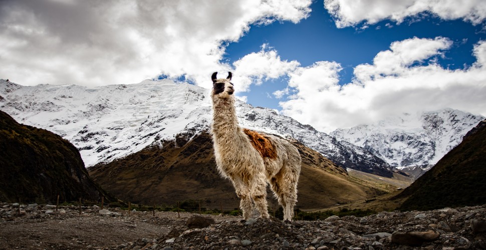 The Salkantay Trek to Machu Picchu is one of the most spectacular treks to the iconic Incan citadel- Machu Picchu. The Salkantay trail offers unparalleled opportunities for photographers to capture the stunning beauty of its Andean landscapes along the way.