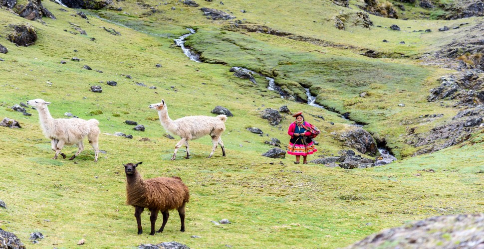 The Lares Trek provides numerous opportunities for authentic encounters with Andean culture. You will have the chance to meet local Quechua-speaking communities and learn about their traditional way of life. You can even visit local homes, participate in traditional ceremonies, and even try your hand at traditional weaving techniques.