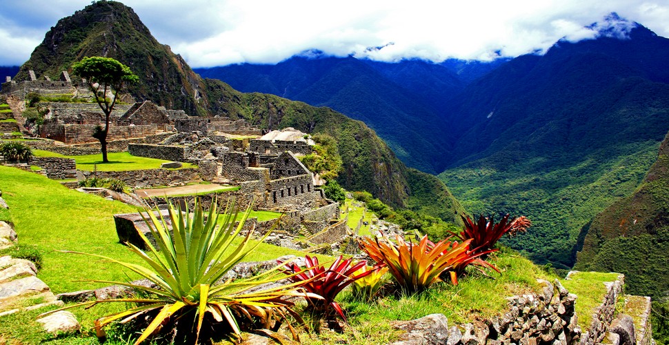 If you do a Machu Picchu tour package in the wet season, the increased rainfall rejuvenates the flora, resulting in lush, green landscapes. The terraces, surrounding mountains, and vegetation appear more green, lush, and picturesque. The rainy season is ideal for observing various flowers and even orchids, in bloom, adding color and beauty to Machu Picchu.